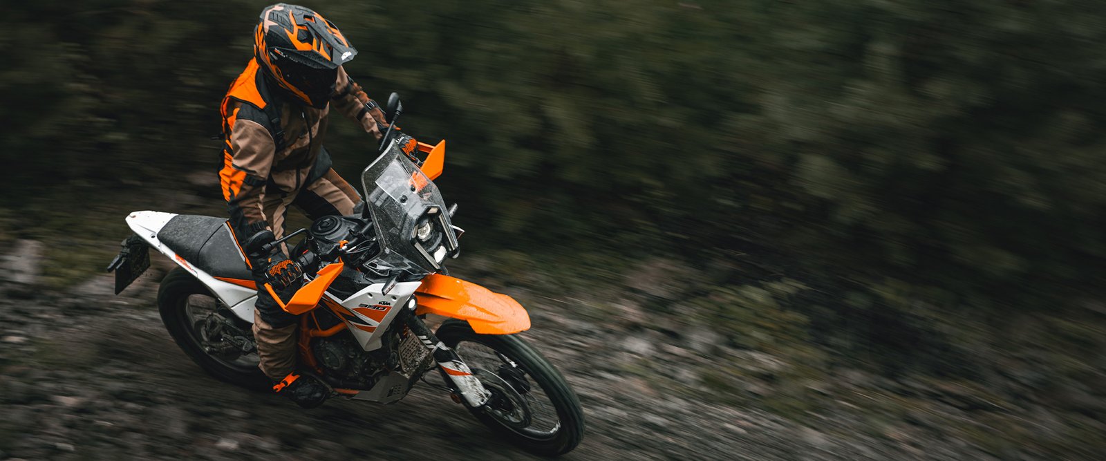 BMW F 450 GS vs KTM 390 Adventure R